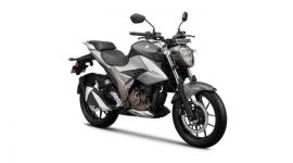 Suzuki Gixxer 250